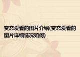 變態(tài)愛看的圖片介紹(變態(tài)愛看的圖片詳細(xì)情況如何)