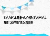 S\M\L是什么介紹(S\M\L是什么詳細(xì)情況如何)