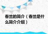 春蘭的簡介（春蘭是什么簡介介紹）