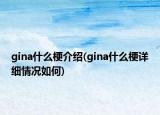 gina什么梗介紹(gina什么梗詳細(xì)情況如何)
