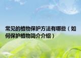 常見的植物保護(hù)方法有哪些（如何保護(hù)植物簡介介紹）