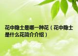花中隱士是哪一種花（花中隱士是什么花簡介介紹）