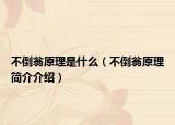 不倒翁原理是什么（不倒翁原理簡介介紹）