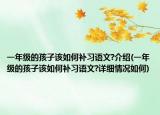 一年級的孩子該如何補習語文?介紹(一年級的孩子該如何補習語文?詳細情況如何)