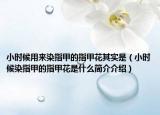 小時候用來染指甲的指甲花其實是（小時候染指甲的指甲花是什么簡介介紹）
