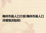 梅州市縣人口介紹(梅州市縣人口詳細情況如何)