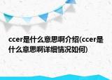 ccer是什么意思啊介紹(ccer是什么意思啊詳細(xì)情況如何)
