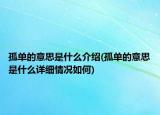 孤單的意思是什么介紹(孤單的意思是什么詳細(xì)情況如何)