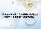 目字加一筆都有什么字謝謝介紹(目字加一筆都有什么字謝謝詳細(xì)情況如何)