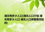 湖北有多少人口(湖北人口介紹 湖北有多少人口 湖北人口詳細(xì)情況如何)