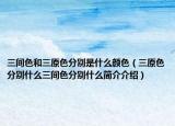 三間色和三原色分別是什么顏色（三原色分別什么三間色分別什么簡介介紹）