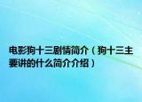 電影狗十三劇情簡介（狗十三主要講的什么簡介介紹）