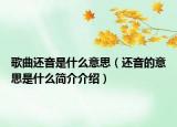 歌曲還音是什么意思（還音的意思是什么簡介介紹）