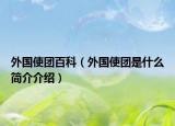 外國使團百科（外國使團是什么簡介介紹）