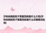 沙和尚挑的擔(dān)子里面到底是什么介紹(沙和尚挑的擔(dān)子里面到底是什么詳細(xì)情況如何)