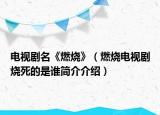 電視劇名《燃燒》（燃燒電視劇燒死的是誰簡介介紹）