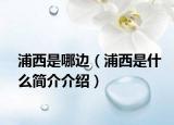 浦西是哪邊（浦西是什么簡介介紹）