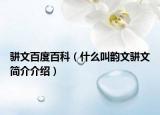 駢文百度百科（什么叫韻文駢文簡(jiǎn)介介紹）