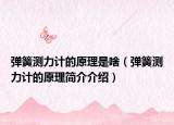 彈簧測力計的原理是啥（彈簧測力計的原理簡介介紹）