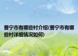 普寧市有哪些村介紹(普寧市有哪些村詳細情況如何)