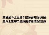 黃金圣斗士里哪個最厲害介紹(黃金圣斗士里哪個最厲害詳細(xì)情況如何)