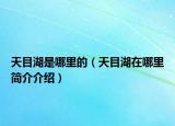 天目湖是哪里的（天目湖在哪里簡介介紹）