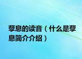 孽息的讀音（什么是孽息簡介介紹）