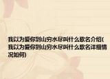我以為愛你到山窮水盡叫什么歌名介紹(我以為愛你到山窮水盡叫什么歌名詳細情況如何)