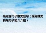 晚霞的句子唯美短句（晚霞唯美的短句子簡介介紹）