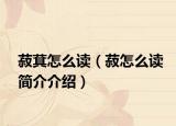 菽萁怎么讀（菽怎么讀簡介介紹）