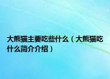大熊貓主要吃些什么（大熊貓吃什么簡介介紹）