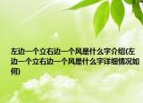 左邊一個立右邊一個風(fēng)是什么字介紹(左邊一個立右邊一個風(fēng)是什么字詳細(xì)情況如何)