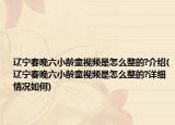 遼寧春晚六小齡童視頻是怎么整的?介紹(遼寧春晚六小齡童視頻是怎么整的?詳細情況如何)