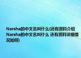 Narsha的中文名叫什么(還有資料介紹 Narsha的中文名叫什么 還有資料詳細(xì)情況如何)