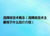 流媒體技術概念（流媒體技術主要用于什么簡介介紹）