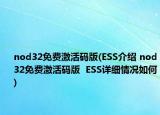 nod32免費激活碼版(ESS介紹 nod32免費激活碼版  ESS詳細(xì)情況如何)
