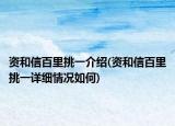 資和信百里挑一介紹(資和信百里挑一詳細(xì)情況如何)