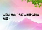 大喜大是啥（大喜大是什么簡介介紹）