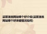 盜版漫畫網(wǎng)站哪個好介紹(盜版漫畫網(wǎng)站哪個好詳細情況如何)