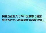 民營企業(yè)五六七八什么意思（民營經(jīng)濟五六七八內(nèi)容是什么簡介介紹）