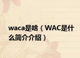 waca是啥（WAC是什么簡介介紹）