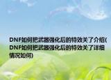 DNF如何把武器強化后的特效關(guān)了介紹(DNF如何把武器強化后的特效關(guān)了詳細情況如何)