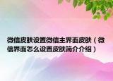 微信皮膚設(shè)置微信主界面皮膚（微信界面怎么設(shè)置皮膚簡介介紹）