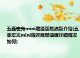 五菱宏光mini敞篷版燃油版介紹(五菱宏光mini敞篷版燃油版詳細情況如何)