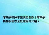 蘋果手機(jī)掉水里該怎么辦（蘋果手機(jī)掉水里怎么處理簡(jiǎn)介介紹）