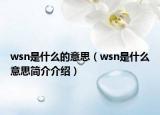 wsn是什么的意思（wsn是什么意思簡介介紹）