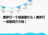 美夢(mèng)打一個(gè)成語(yǔ)是什么（美夢(mèng)打一成語(yǔ)簡(jiǎn)介介紹）