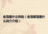 金箔是什么樣的（金箔銀箔是什么簡介介紹）