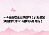 so2會造成溫室效應(yīng)嗎（引起溫室效應(yīng)的氣體SO2是嗎簡介介紹）