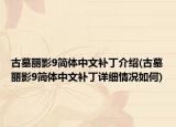 古墓麗影9簡體中文補丁介紹(古墓麗影9簡體中文補丁詳細情況如何)